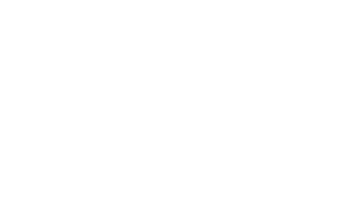 TUNG FENG